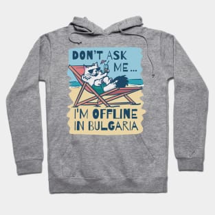 Cat At The Beach Funny Hoodie